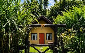 Thori Jungle Resort, Chitwan National Park